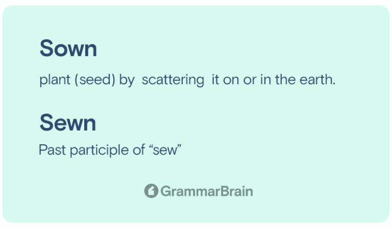 Sewn vs. Sown—Which is Correct? (Grammar + Examples) | GrammarBrain