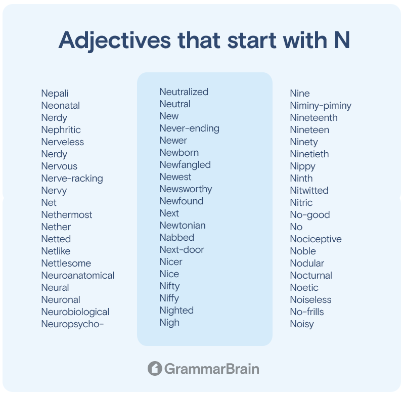 Adjectives that start with N