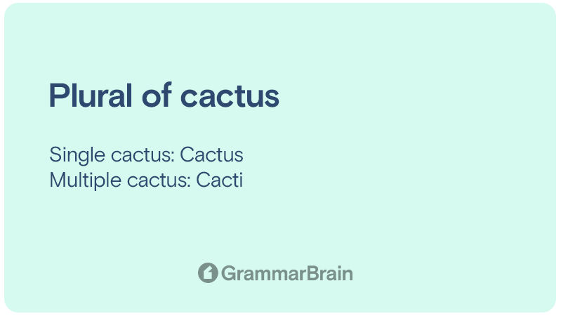 Plural of cactus