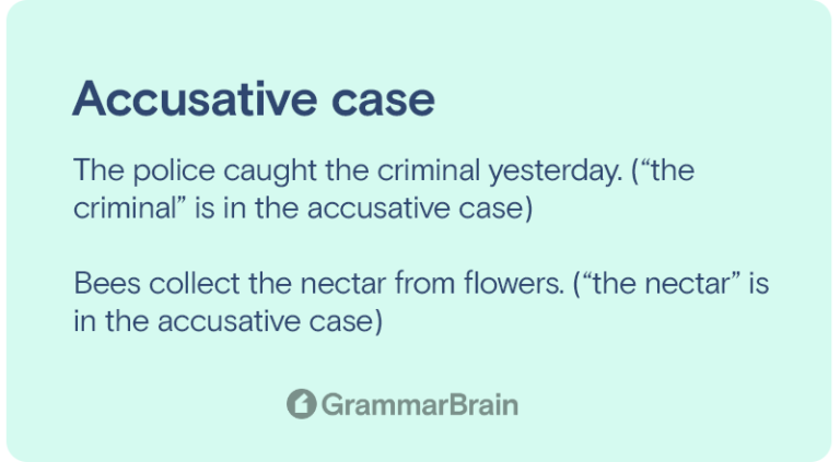 case assignment accusative