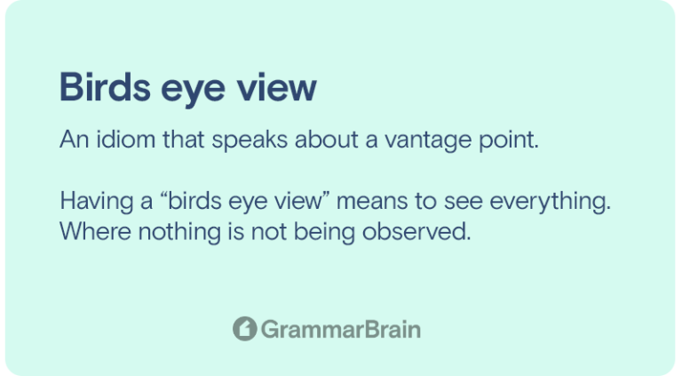 bird-s-eye-view-meaning-definition-examples-of-use-grammarbrain