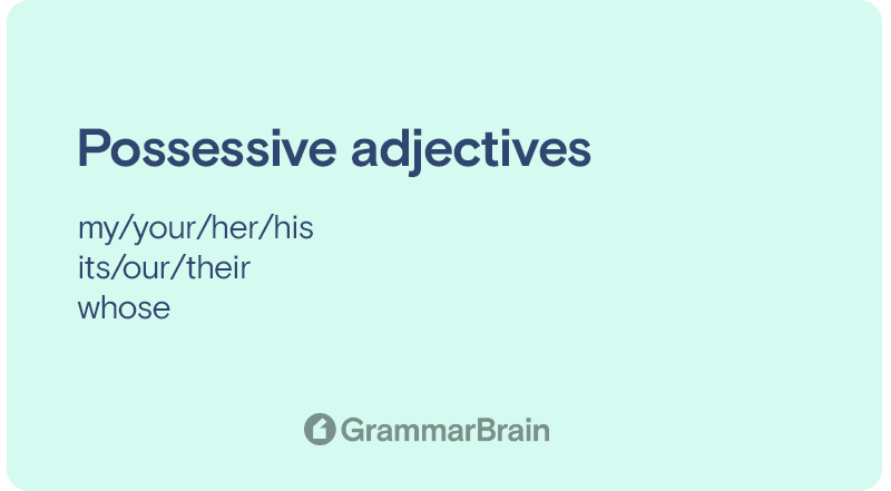 Possessive adjective