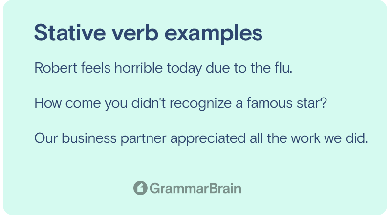 Stative verb examples
