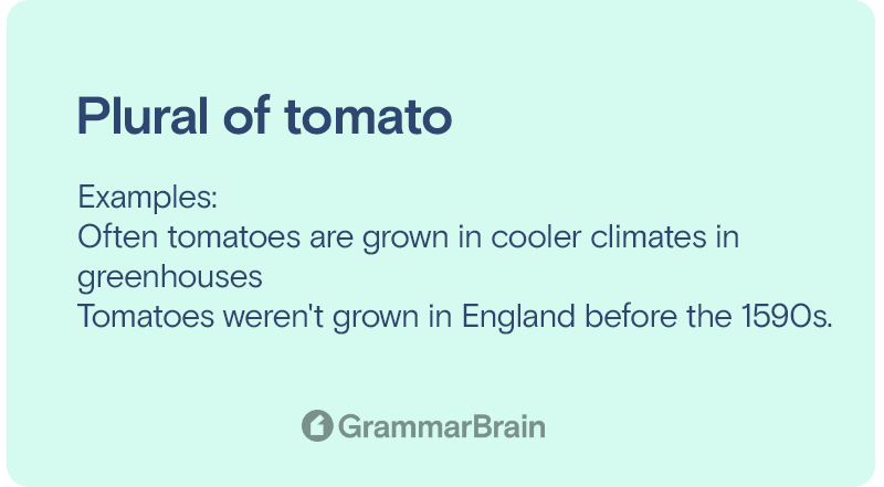 Tomatos or tomatoe