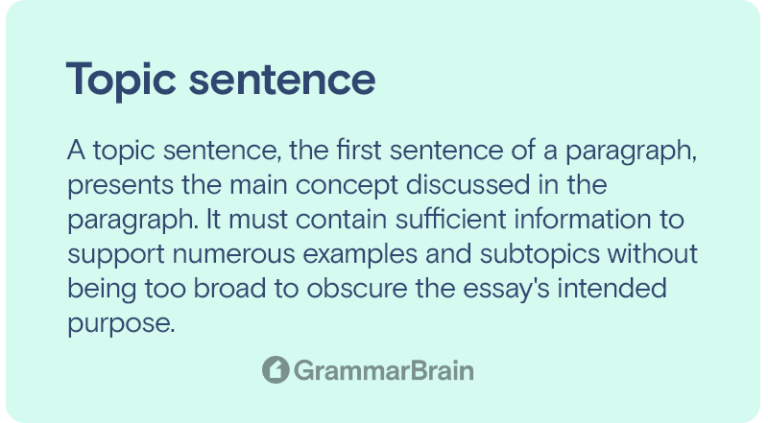 what does topic sentence mean in a essay